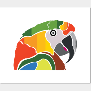 Macaw Posters and Art